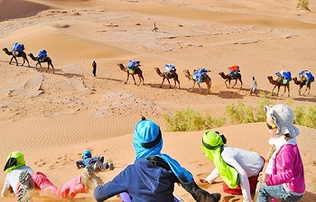 Tour familiar con niños