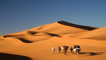 Tour de 2 días desde Marrakech a Zagora