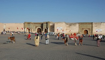 Excursión de un día desde Fez a Meknes y Volubilis