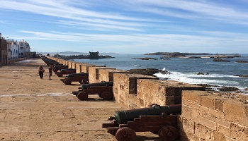 Excursión de un día a Essaouira desde Marrakech