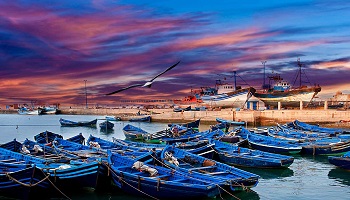 Excursión de un día a Essaouira desde Marrakech